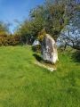 Loughcrew Cairn O - PID:272823