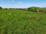 Loughcrew Cairn P1 - PID:272827