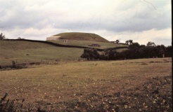 Newgrange - PID:221945