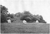 Newgrange - PID:42650