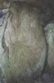 Carvings inside Cairn T at Loughcrew - PID:599