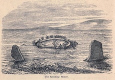 Farranaglogh - PID:301114