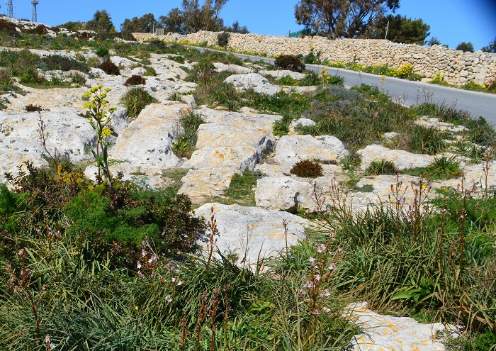 Click for the gallery page to add comments and vote (PID:194584) Kappella ta' Santa Marija Maddalena Cart Ruts