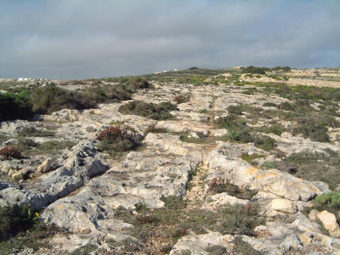 Ras il-Qala Cart Ruts