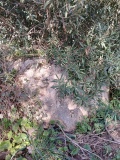 Marsalforn alignment - PID:302124