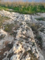 Ta' Cenc Cart Ruts - PID:213514