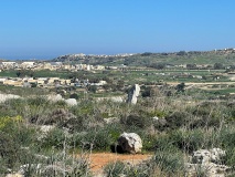 Ta' Cenc Gallery Grave