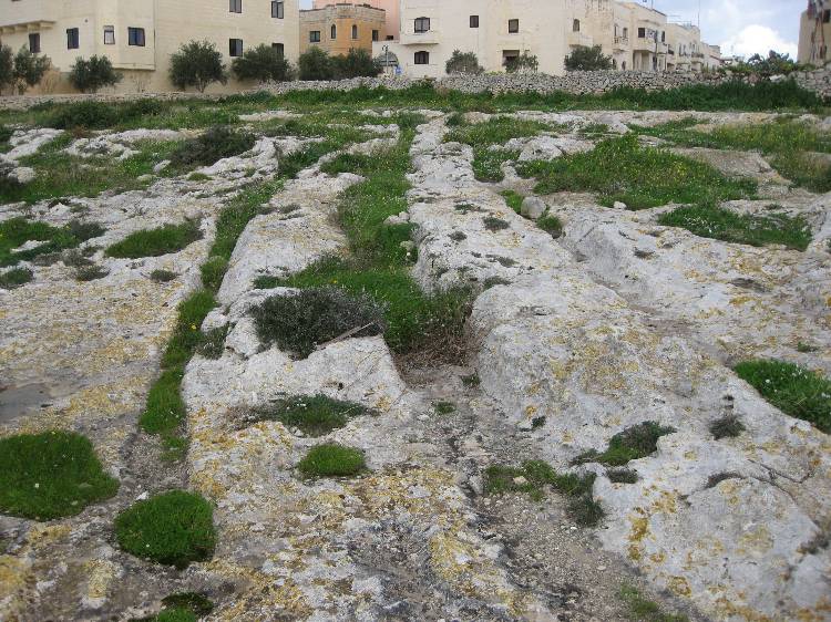 Ghajn Qajjied Cart Ruts
