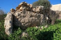 Ta' Raddiena