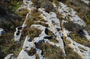 San Pawl il-Baħar Cart ruts - PID:194481