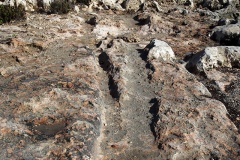 Il-Bajja tal-Mellieħa Cart Ruts - PID:156033