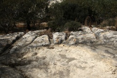il-Kalkara Cart Ruts - PID:156179