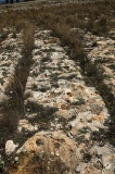 Tal-Wej Cart Ruts