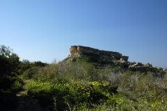 Qarraba