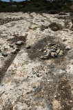 Ix-Xagħra ta'l-Isqof Cart Ruts
