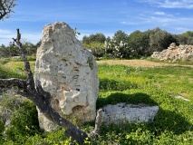 Xemxija Temple (1)