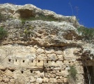 Xemxija Roman Apiaries - PID:100080