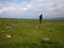 Cairns East of White Tor