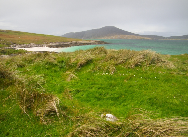 Click for the gallery page to add comments and vote (PID:81935) Cille Bhrianain
