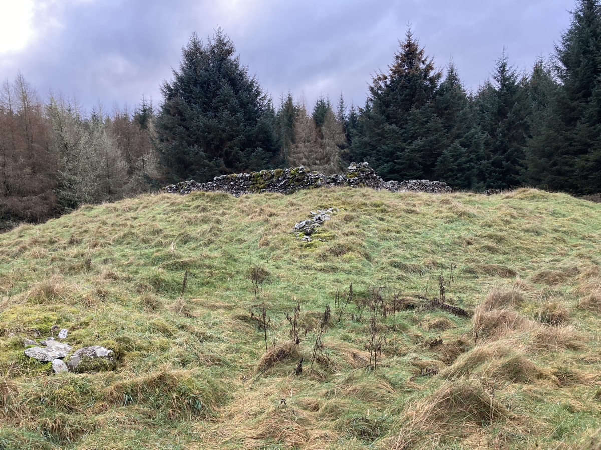 Click for the gallery page to add comments and vote (PID:252039) Arnsheen S