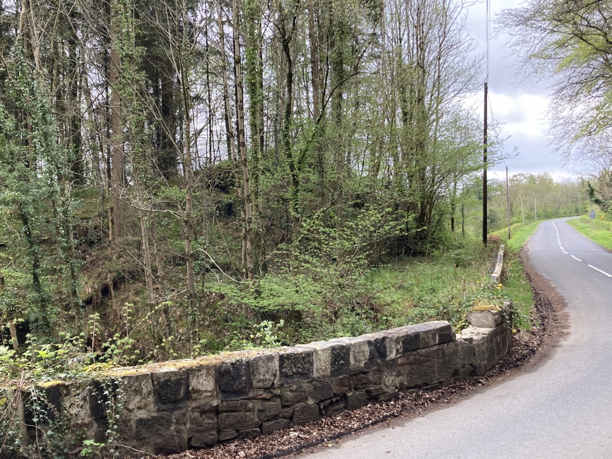 Click for the gallery page to add comments and vote (PID:257951) Captain's Bridge (Drummochreen) SE