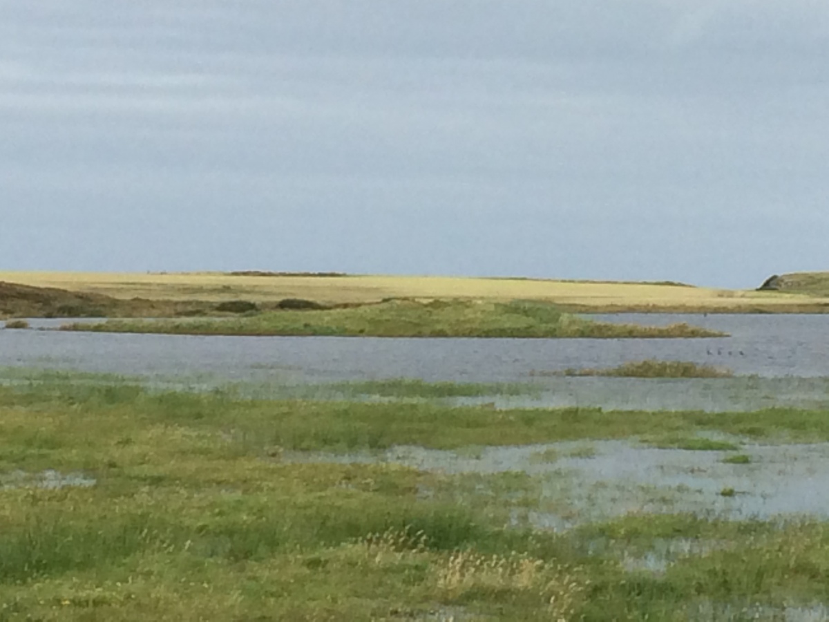 Click for the gallery page to add comments and vote (PID:225522) Ardnave Loch