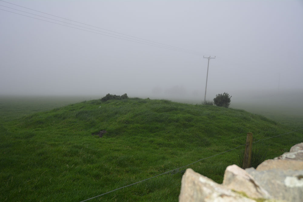 Click for the gallery page to add comments and vote (PID:172053) Scalpsie Barrow