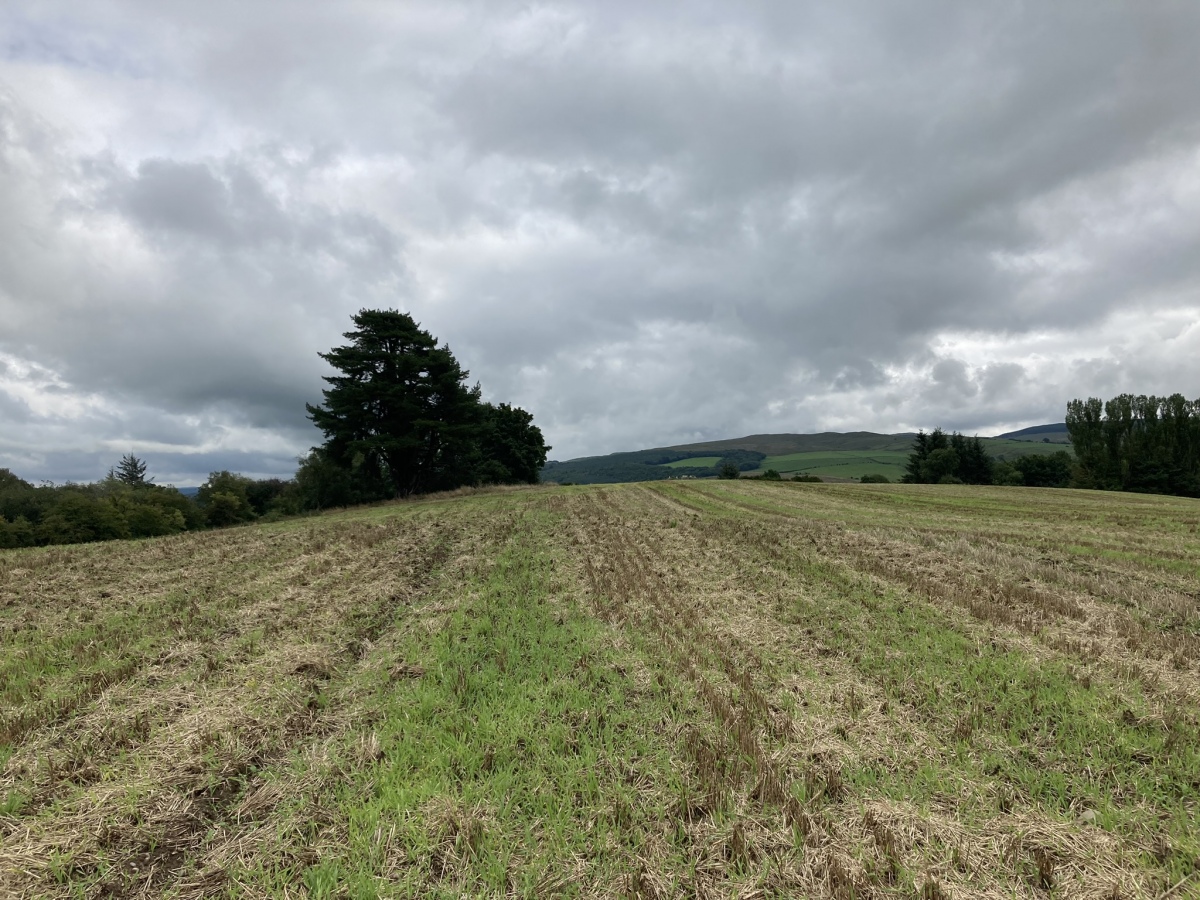 Click for the gallery page to add comments and vote (PID:261657) Cairn Hill (Dalquharran)