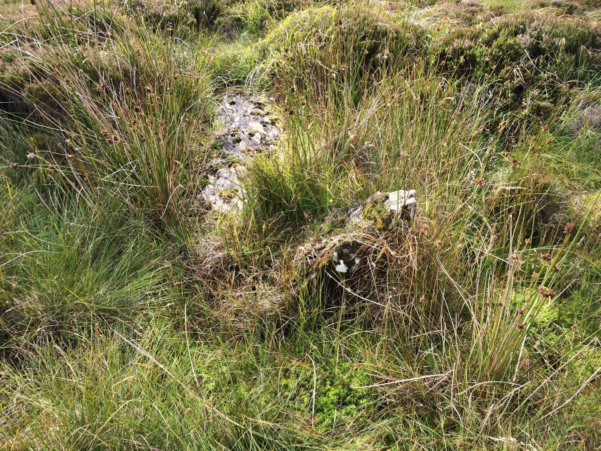 Click for the gallery page to add comments and vote (PID:202142) Glac A` Charraigh