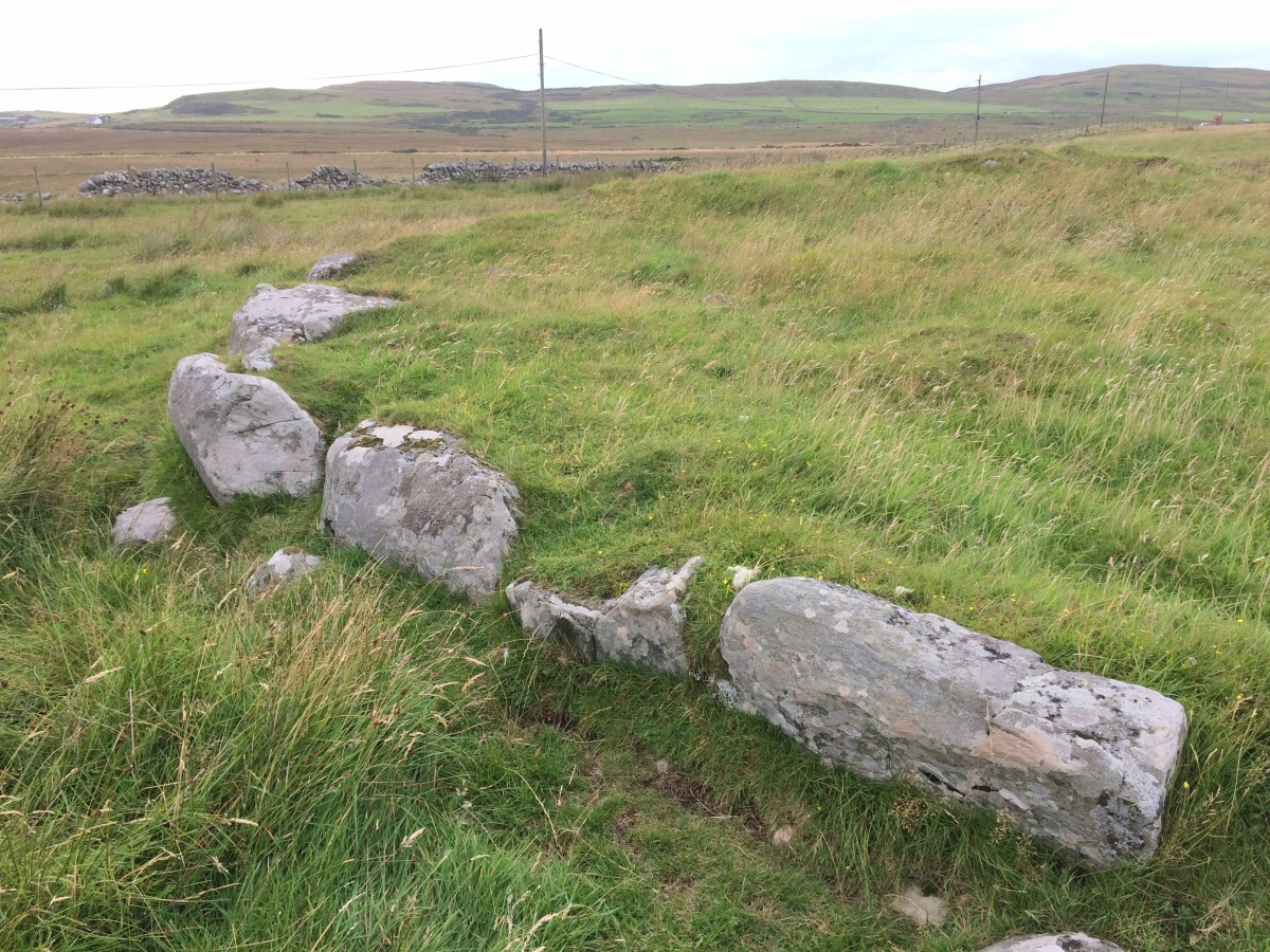 Carnduncan