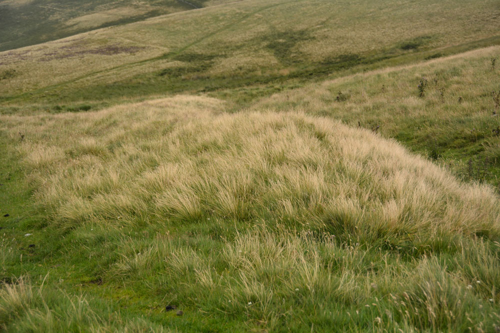 The wind was howling at 1,000 feet and the rain felt like hail.  This is a very quick photograph of the south-easterly end of the eastern-most earthwork, where it curves gently down towards the Pennine Way, which cuts both earthwork banks.