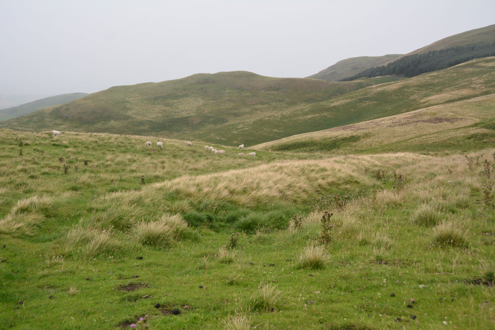 Click for the gallery page to add comments and vote (PID:169057) Stob Rig (Yetholm)