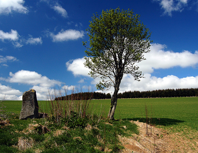 Click for the gallery page to add comments and vote (PID:84297) Druidstone (Brackla)