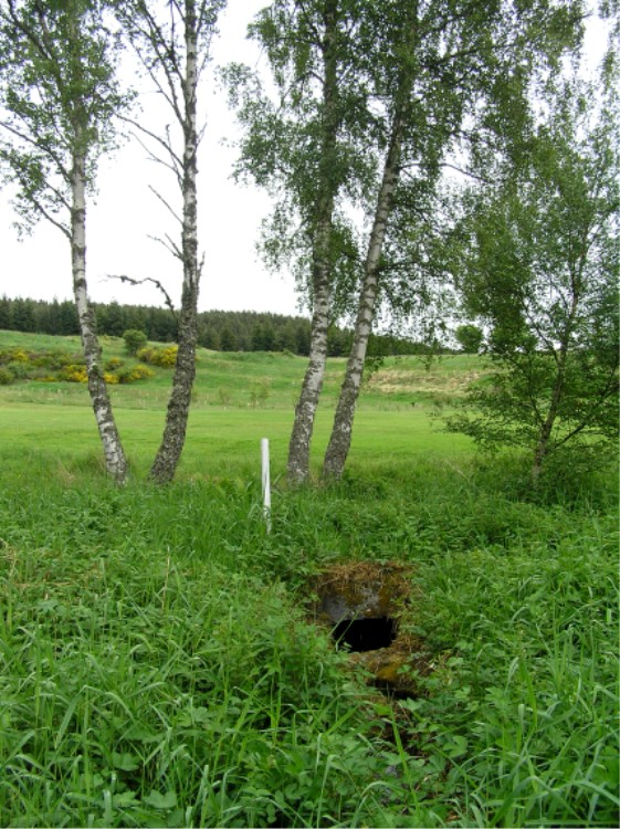 Lady Well (Aboyne)