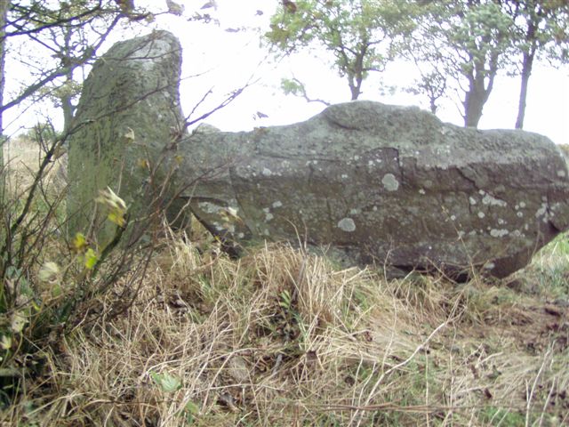 Berrybrae