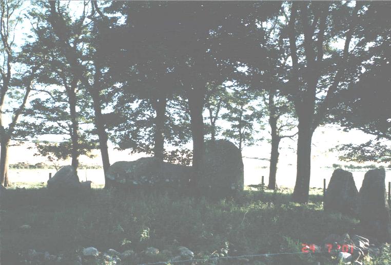 Berrybrae
