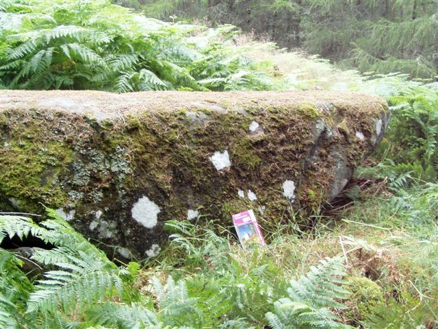 Blue Cairn Circle