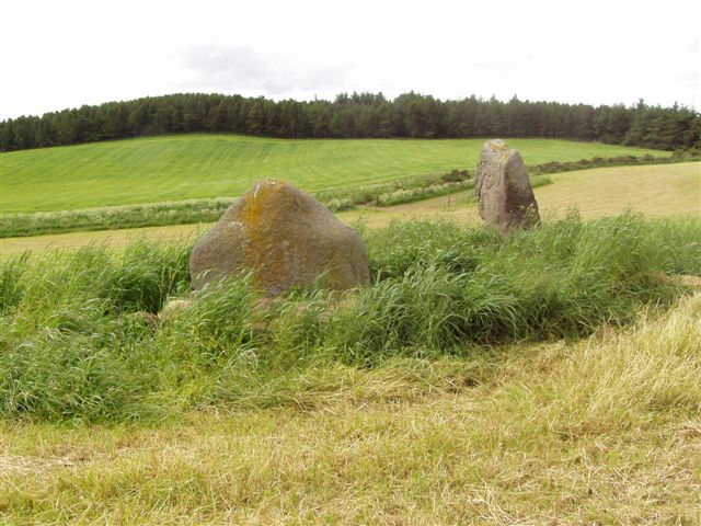 Upper Ord