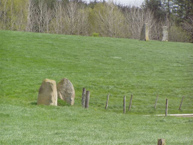 Druidsfield