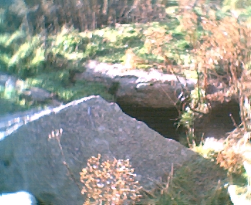 Braehead Farm