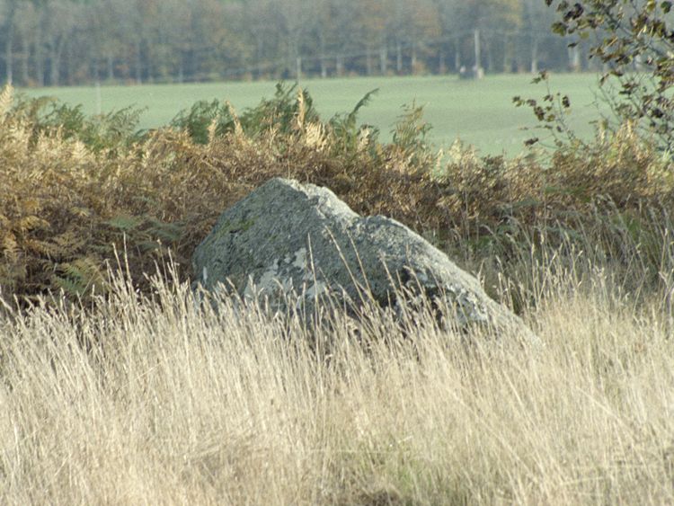 Click for the gallery page to add comments and vote (PID:17684) Cairn Ennit