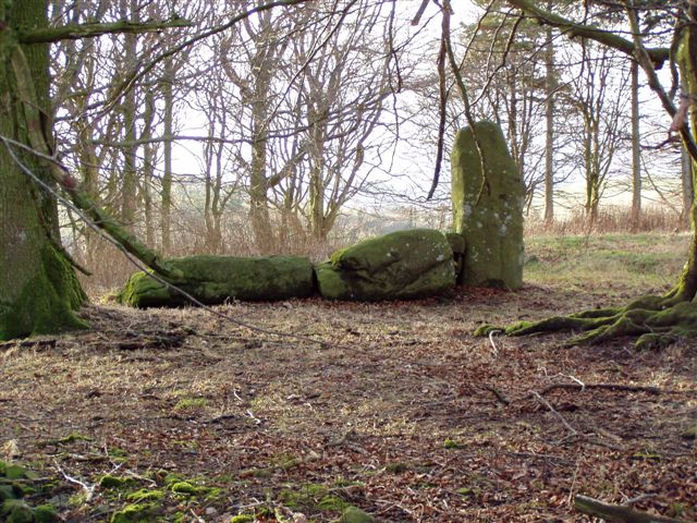 Corrstone Wood