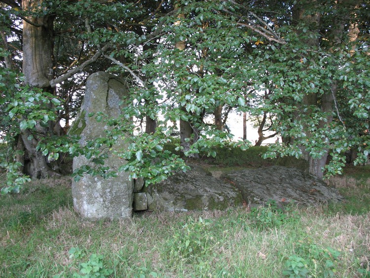 Unfortunately the site isn't easily accessible - the forest on the top of the hill is surrounded by a wire without an entrance, so be careful. 