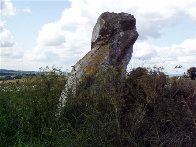 Court Stane