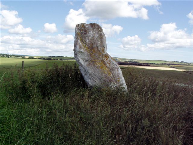 Court Stane