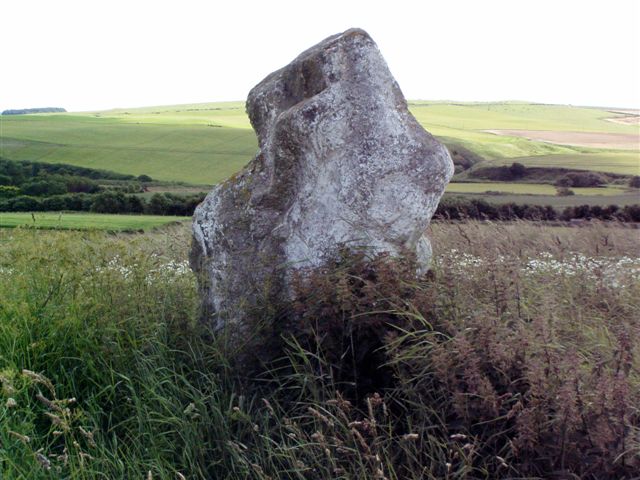 Court Stane