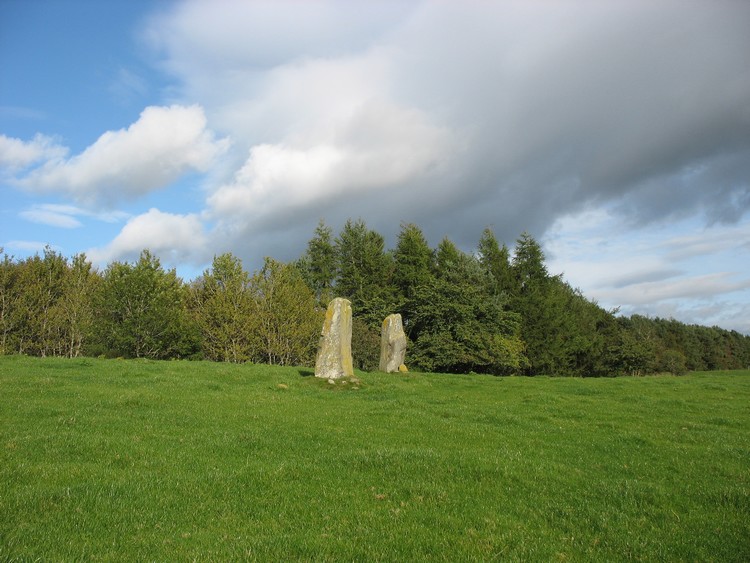 Druidsfield