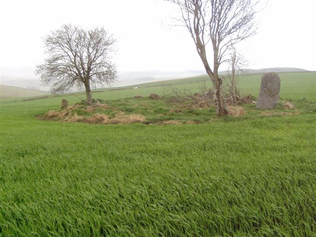 Druidstone (Brackla)