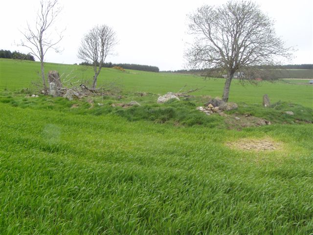 Druidstone (Brackla)