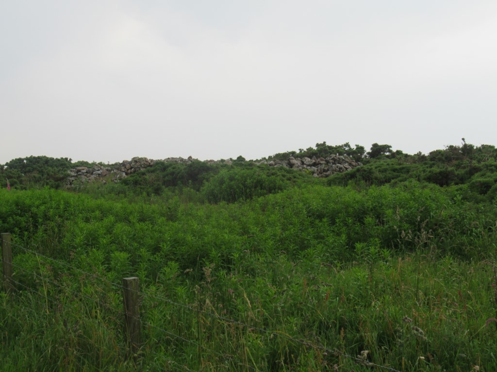 Click for the gallery page to add comments and vote (PID:199424) Cairn Catto